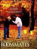 Affiche de Un Ménage explosif, film à voir en streaming sur Pygargue