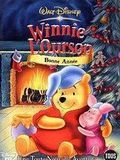 Affiche de Winnie l'Ourson - Bonne année, film à voir en streaming sur Pygargue