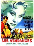 Affiche de Les Vendanges, film à voir en streaming sur Pygargue