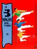 Affiche de Les 3 ninjas contre-attaquent, film à voir en streaming sur Pygargue