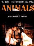 Affiche de Animals, film à voir en streaming sur Pygargue