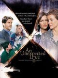 Affiche de Un amour inattendu, film à voir en streaming sur Pygargue