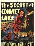 Affiche de L'Énigme du lac noir, film à voir en streaming sur Pygargue