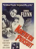 Affiche de Du sang sur la neige, film à voir en streaming sur Pygargue