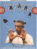 Affiche de Les Branches de l'arbre, film à voir en streaming sur Pygargue