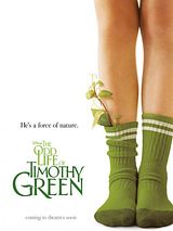 Affiche de La Drôle de vie de Timothy Green, film à voir en streaming sur Pygargue