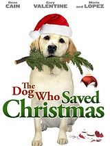 Affiche de Le sauveur de Noël, film à voir en streaming sur Pygargue
