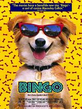 Affiche de Bingo, film à voir en streaming sur Pygargue