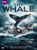 Affiche de The Whale, film à voir en streaming sur Pygargue