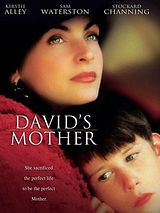 Affiche de David à la folie, film à voir en streaming sur Pygargue