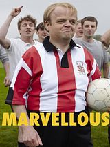 Affiche de Marvellous, film à voir en streaming sur Pygargue