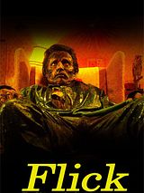 Affiche de Flick, film à voir en streaming sur Pygargue