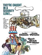 Affiche de Don't drink the water, film à voir en streaming sur Pygargue