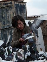 Affiche de Le Pigeon, film à voir en streaming sur Pygargue