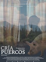 Affiche de Cría puercos, film à voir en streaming sur Pygargue