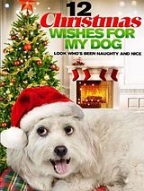 Affiche de Les Douze vœux de Noël (TV), film à voir en streaming sur Pygargue