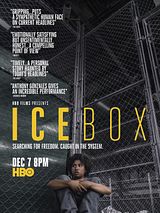 Affiche de Icebox, film à voir en streaming sur Pygargue