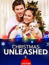 Affiche de Un Noël près de toi, film à voir en streaming sur Pygargue