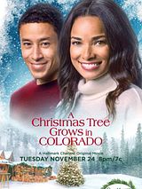 Affiche de Un sapin de Noël, deux amoureux, film à voir en streaming sur Pygargue