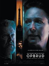 Affiche de Paris en solitaire, film à voir en streaming sur Pygargue