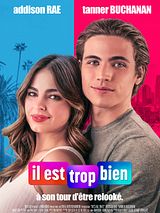 Affiche de Il est trop bien, film à voir en streaming sur Pygargue