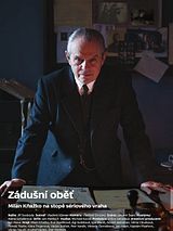 Affiche de Âmes maudites, film à voir en streaming sur Pygargue