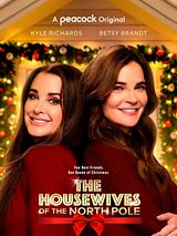 Affiche de Ma meilleure ennemie de Noël, film à voir en streaming sur Pygargue