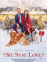 Affiche de Avec toi pour Noël, film à voir en streaming sur Pygargue