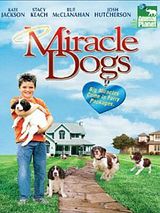Affiche de Un miracle à 19 pattes, film à voir en streaming sur Pygargue