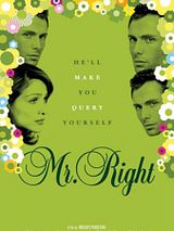 Affiche de Mr. Right, film à voir en streaming sur Pygargue