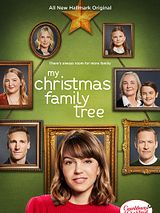Affiche de Une famille surprise pour Noël, film à voir en streaming sur Pygargue