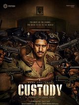 Affiche de Custody, film à voir en streaming sur Pygargue