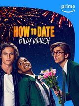 Affiche de A la conquête de Billy Walsh, film à voir en streaming sur Pygargue