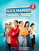 Affiche de S.O.S MAMIS 2: New Mom On The Block, film à voir en streaming sur Pygargue