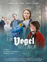 Affiche de Un perroquet au tribunal, film à voir en streaming sur Pygargue