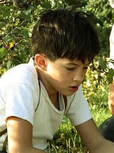 photo de Thomas Durastel