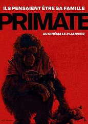 Primate