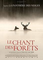 Le Chant des forêts