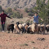 Photo Kauchani Bratt