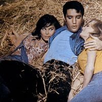 Photo Gene Nelson