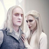 Photo Tony Curran