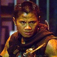Photo Cung Le