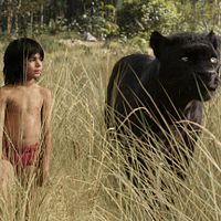 Photo Neel Sethi