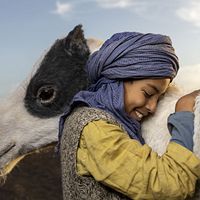 Photo Yassir Drief