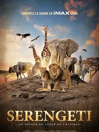 poster de Serengeti : un voyage au coeur de l'Afrique
