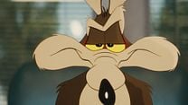image de Coyote vs. Acme Bande-annonce VO