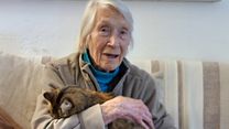 image de Ursula Hanes, une expérience artistique Bande-annonce VF