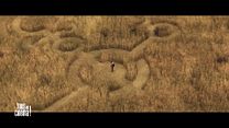 image de Tous Au Cinéma du 10/06/2026