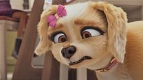 image de Gracie and Pedro: Pets to the Rescue Bande-annonce VO