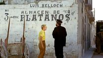 image de Tintin et les oranges bleues Bande-annonce VF